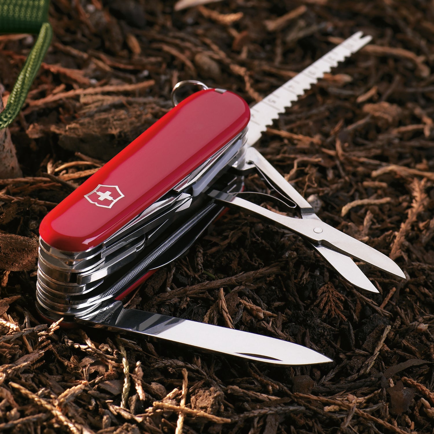 Swiss Army Knife on Wooded Surface